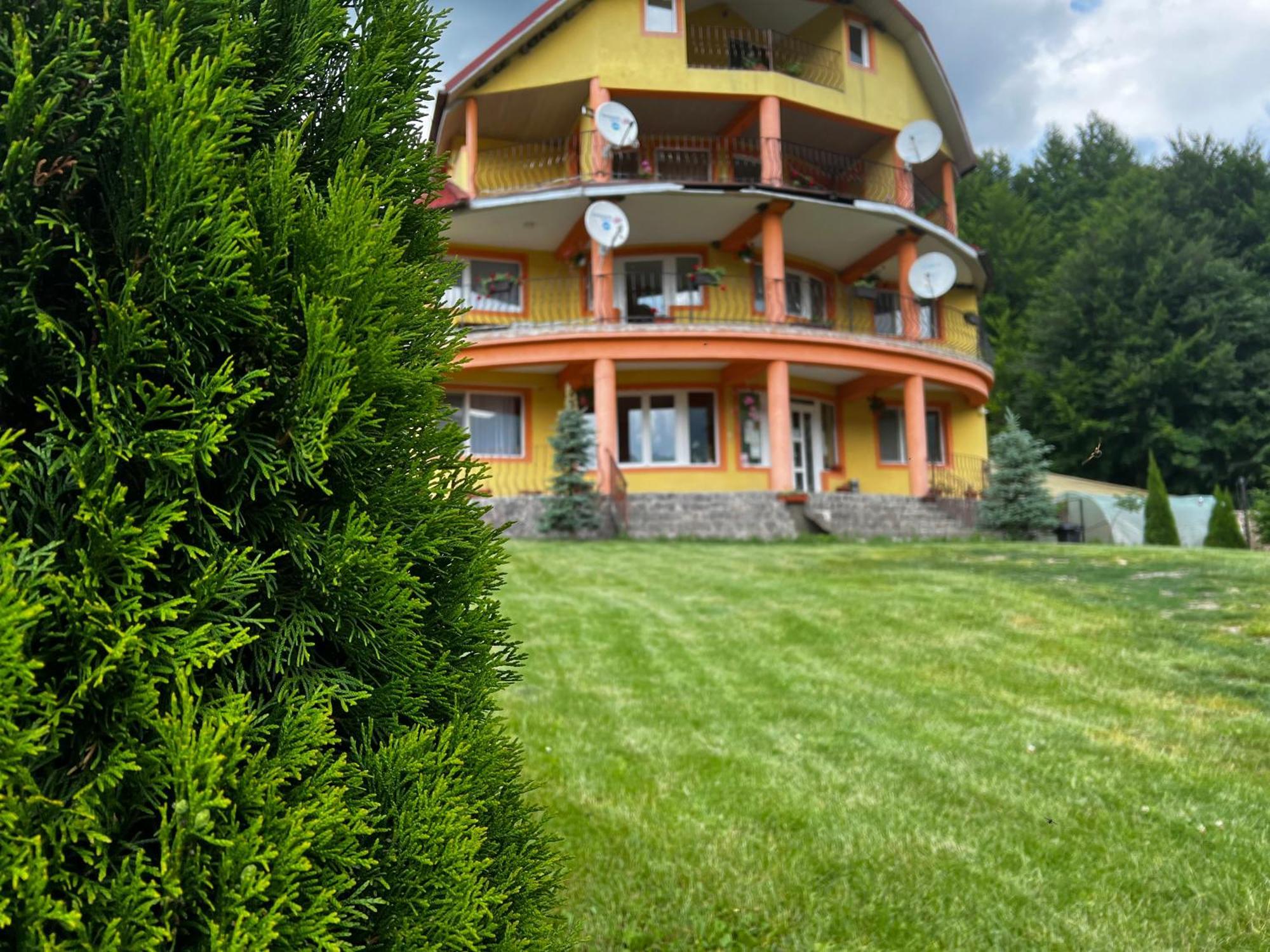 ホテル Casa Potcoava Lepşa エクステリア 写真