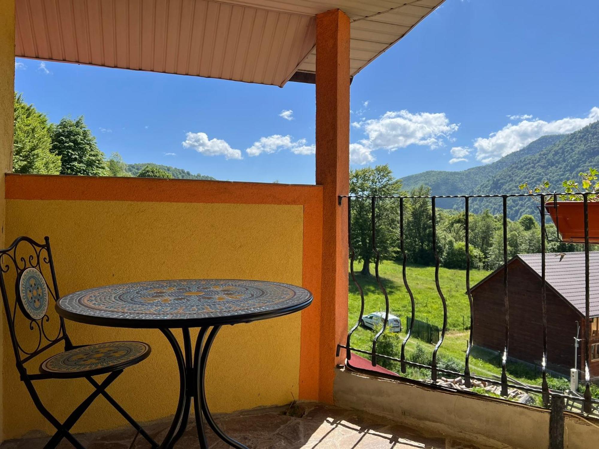 ホテル Casa Potcoava Lepşa エクステリア 写真