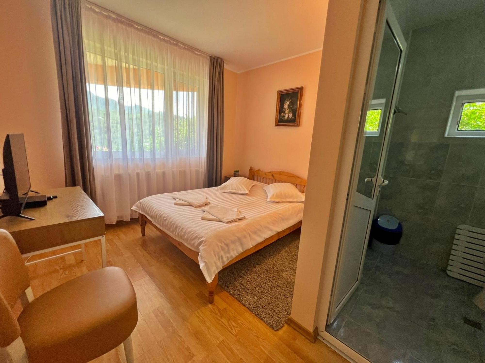 ホテル Casa Potcoava Lepşa エクステリア 写真