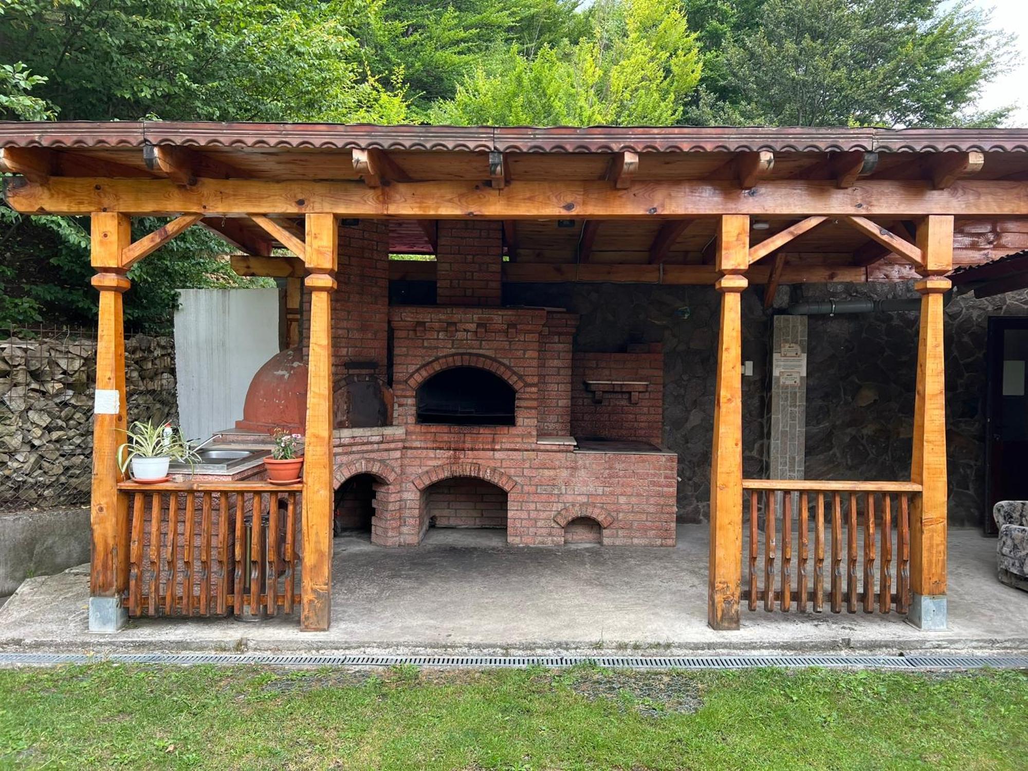 ホテル Casa Potcoava Lepşa エクステリア 写真