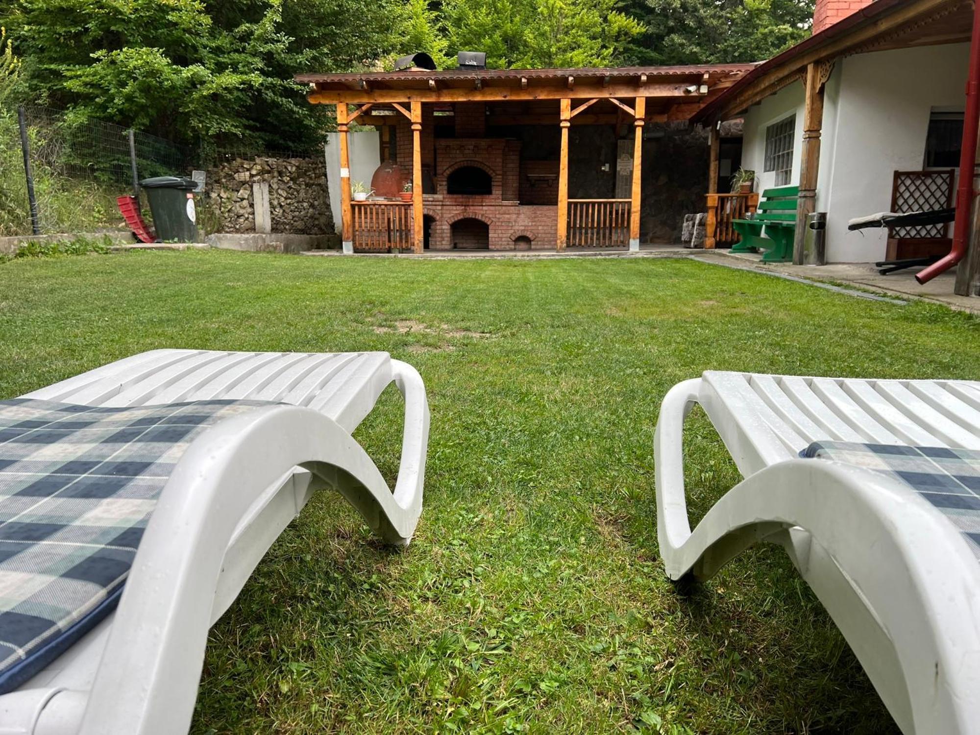 ホテル Casa Potcoava Lepşa エクステリア 写真