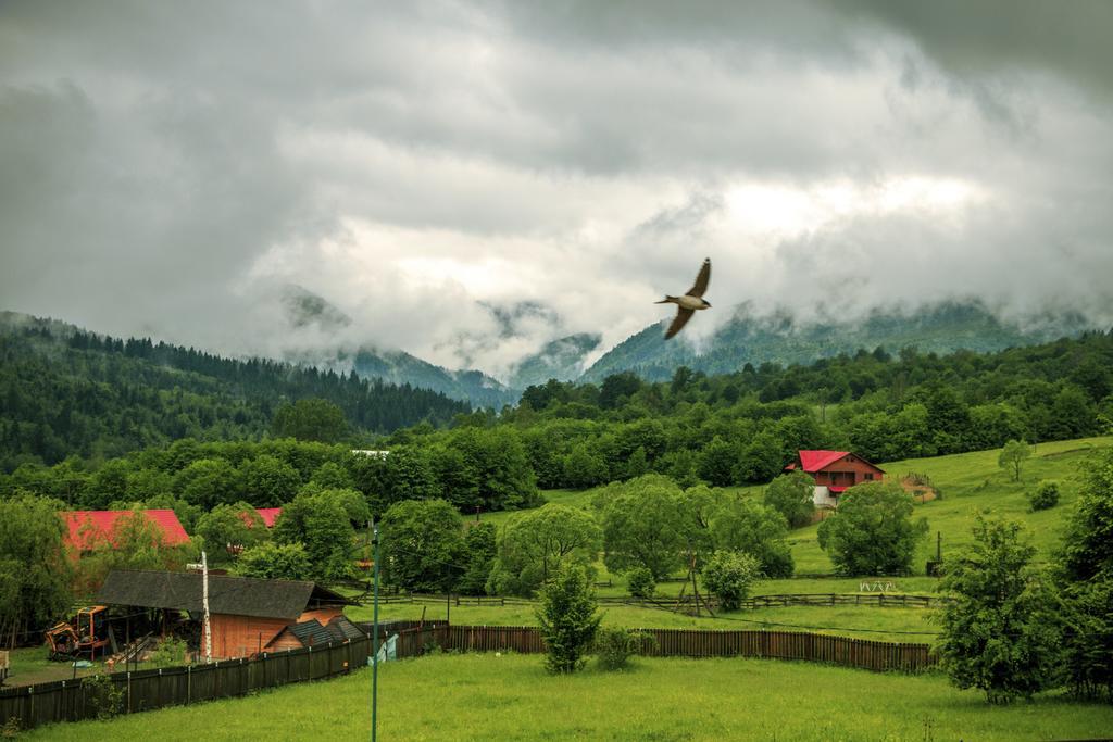 ホテル Casa Potcoava Lepşa エクステリア 写真